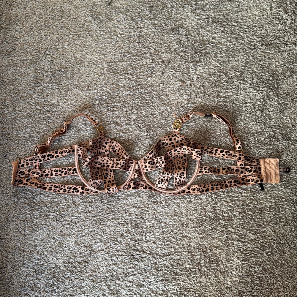 Victoria’s Secret Lingerie Bra